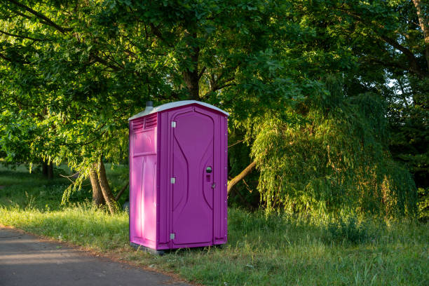 Best Portable bathroom rental  in Green Meadows, OH